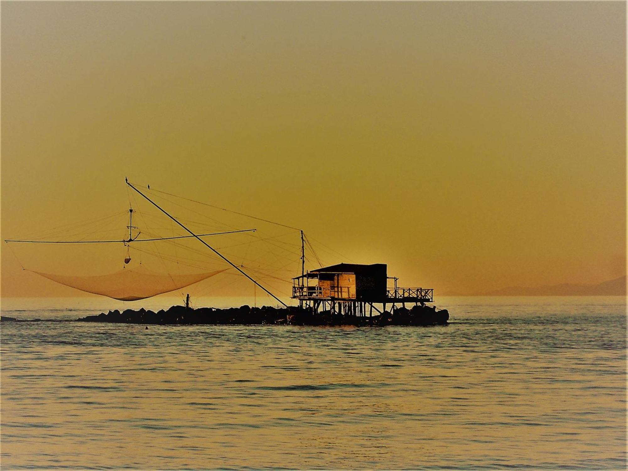 Geoglobe Apartment ปิซา ภายนอก รูปภาพ